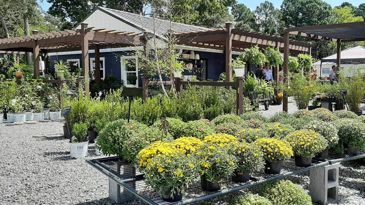 LowCo Gardners sells shrubs, flowers, perennials, trees, plants, cut flowers -- and coffee.