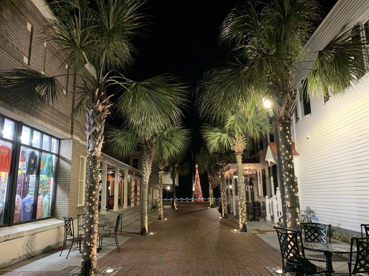 Christmas lights hung on Palmetto trees in downtown Beaufort