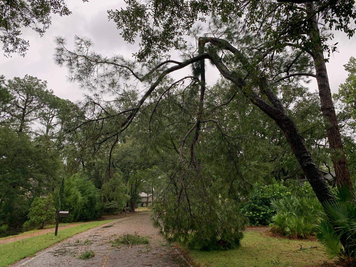 Tree branches that snapped in Hurricane Dorian’s winds are seen on Thursday morning in Port Royal Plantation on Hilton Head Island.