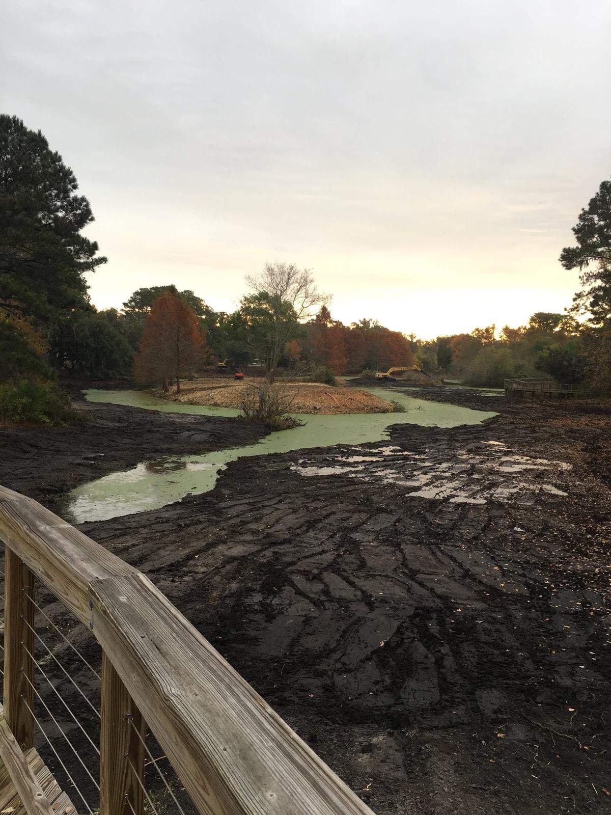 The Cypress Wetlands in Port Royal as photographed by Irene Foster on Dec. 14, 2020.