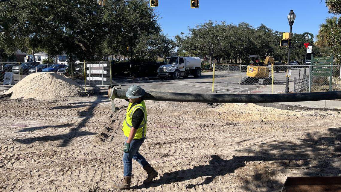 Beaufort group questions oak tree removal. Here’s what the city said