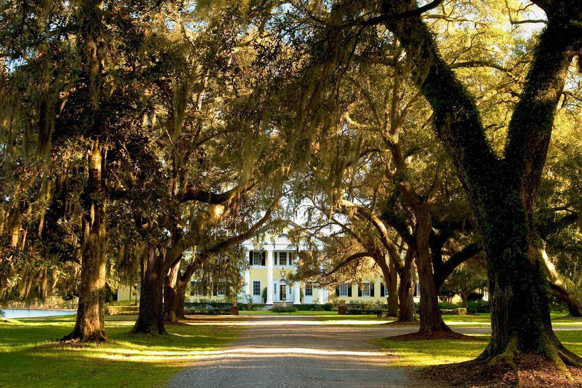 [#Beginning of Shooting Data Section] Nikon D1X Focal Length: 35mm White Balance: Direct sunlight Color Mode: Mode II (Adobe RGB) 2004/02/18 16:50:47.1 Exposure Mode: Manual AF Mode: AF-S Hue Adjustment: 0° RAW (12-bit) Metering Mode: Center-Weighted Tone Comp.: Less Contrast Sharpening: Normal Image Size: Large (3008 x 1960) 1/8 sec - f/7.1 Flash Sync Mode: Not Attached Noise Reduction: Color Exposure Comp.: 0 EV Lens: 35-80mm f/4-5.6 D Sensitivity: ISO 125 Image Comment: [#End of Shooting Data Section]