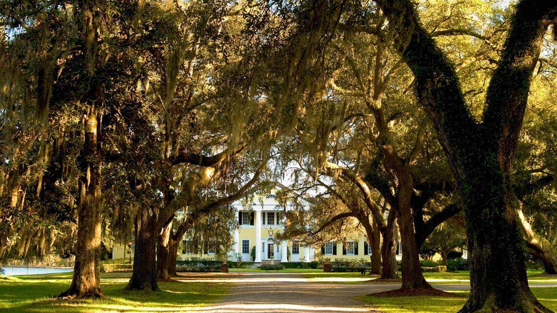 [#Beginning of Shooting Data Section] Nikon D1X Focal Length: 35mm White Balance: Direct sunlight Color Mode: Mode II (Adobe RGB) 2004/02/18 16:50:47.1 Exposure Mode: Manual AF Mode: AF-S Hue Adjustment: 0° RAW (12-bit) Metering Mode: Center-Weighted Tone Comp.: Less Contrast Sharpening: Normal Image Size: Large (3008 x 1960) 1/8 sec - f/7.1 Flash Sync Mode: Not Attached Noise Reduction: Color Exposure Comp.: 0 EV Lens: 35-80mm f/4-5.6 D Sensitivity: ISO 125 Image Comment: [#End of Shooting Data Section]