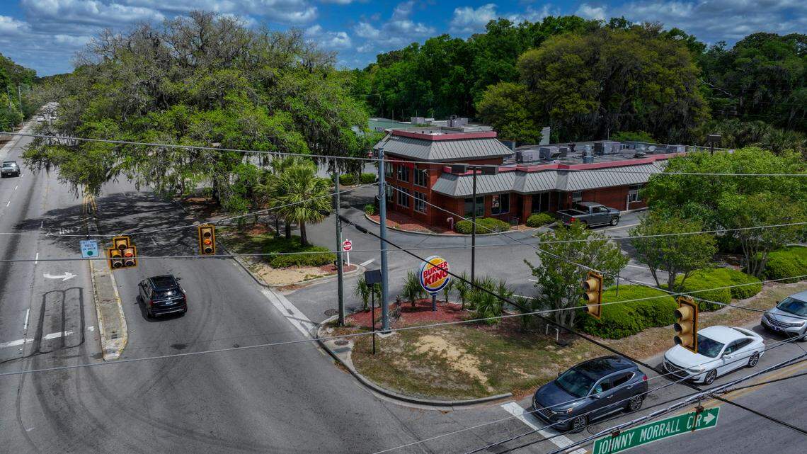 This live oak (upper left) photographed on April 18, 2025, is just feet from Ribaut Road and has been growing for an estimated 200 years in Beaufort. A local tree expert, Michael Murphy with Preservation Tree Care - a division of Bartlett Tree Experts, says the tree is in good condition, surviving the widening of Ribaut Road and the areas construction of commercial properties.