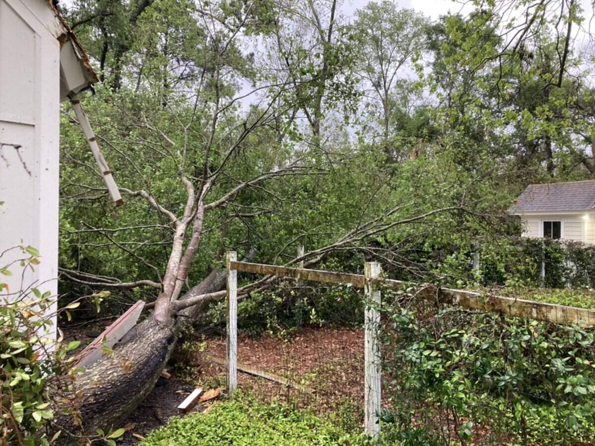 A fallen tree from Tuesday evening’s bad weather caused damage to a fence in Habersham, according to the Burton Fire District.