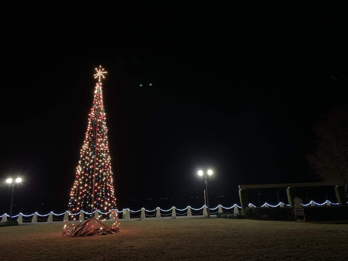 A Christmas tree light display overlooking the waterfront