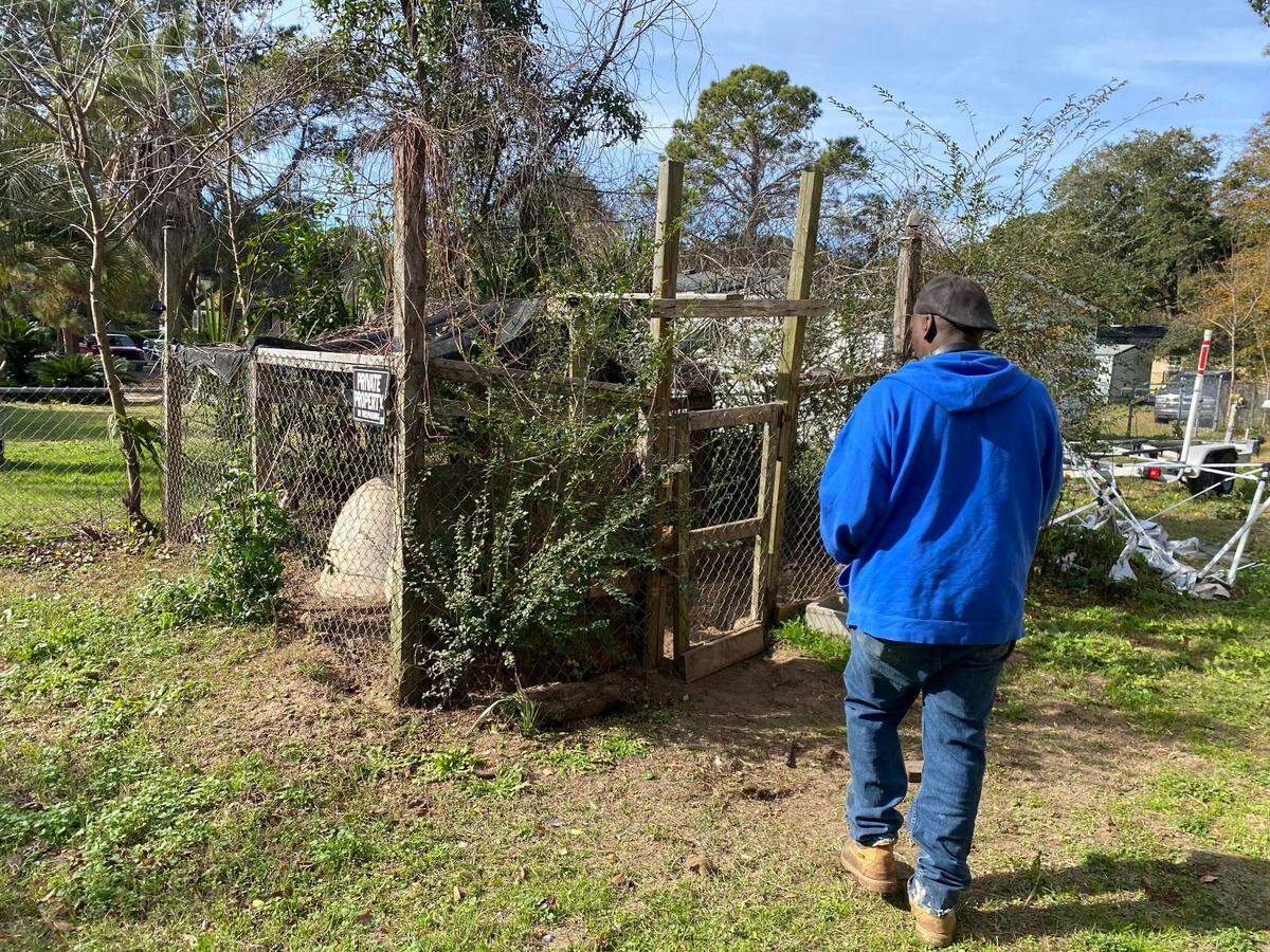 The pen on Marshland Road where Keith Simmons keeps his dog Prince, due to an order from a judge.
