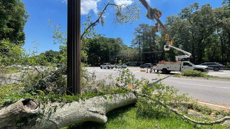 Update: Hilton Head intersection reopens after repairs to tree-damaged signal light