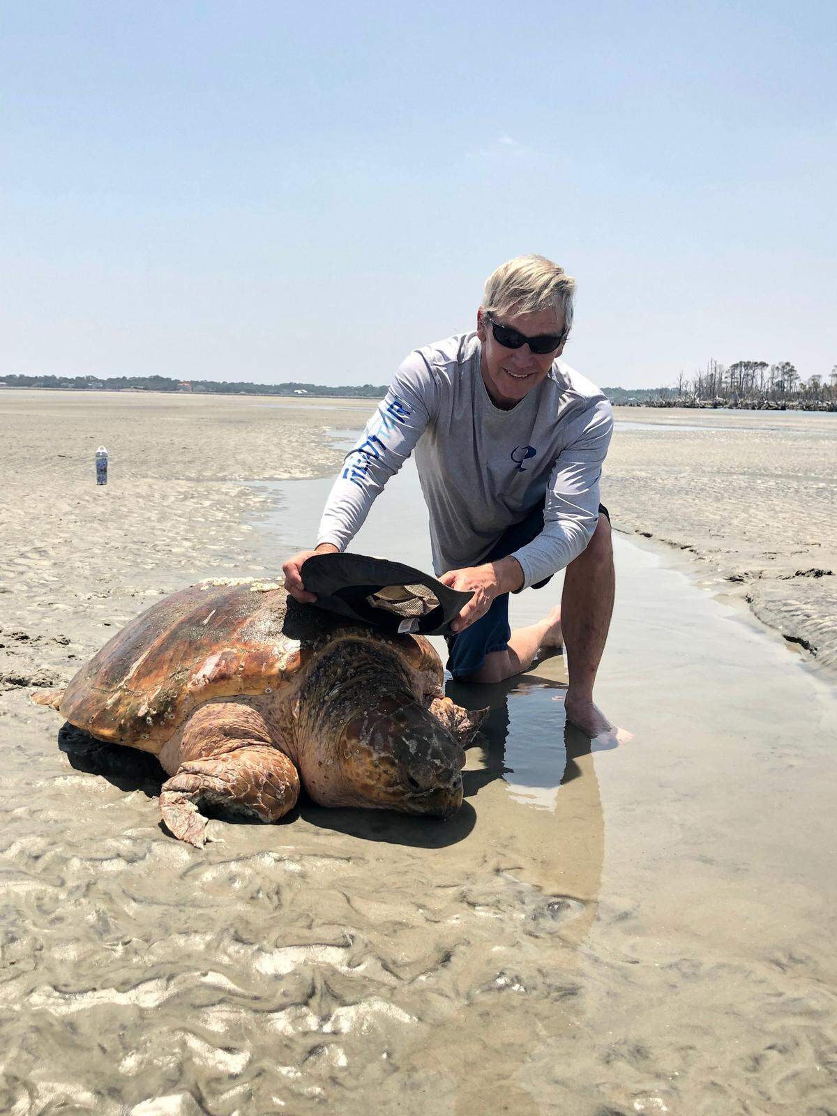 Glenn Godley uses a hat to shield the sun from a loggerhead turtle stranded on a sandbar off Hunting Island on Monday. Godley and his family called the park staff for help, and the turtle was taken to Charleston for treatment.
