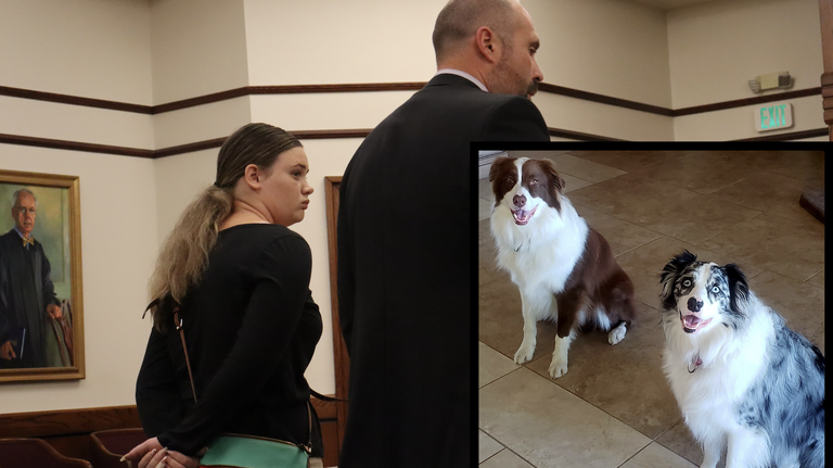 No-show Hilton Head pet-sitter gets jail time after couple’s dog died under her care