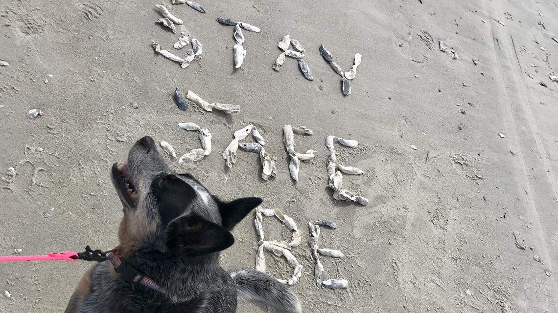 Sights and sounds of coronavirus lockdown in Beaufort County: Lights in a dark tunnel