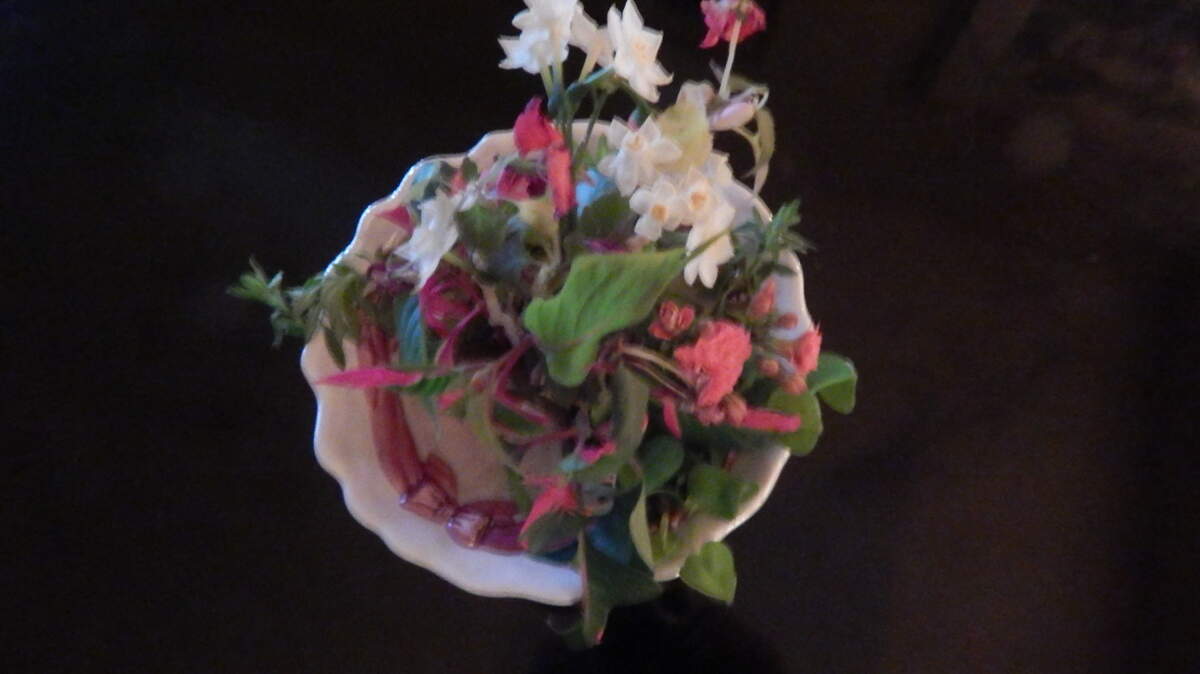February Floral Arrangement:  WINTER INTO SPRING: Red impatiens from the greenhouse combine with narcissus from the garden.