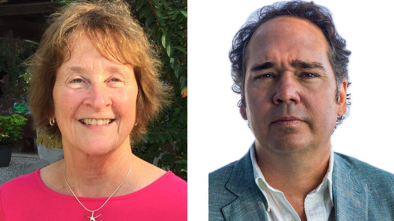Two face off for this Hilton Head council seat. Where they stand on the issues