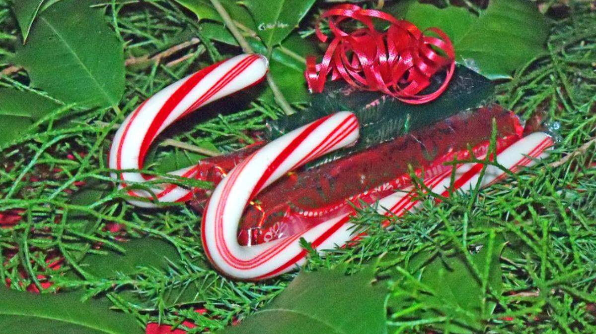 Don and Charlene King made decorative sleighs from candy canes and Christmas wrapped chocolate bars as gifts for their friends.