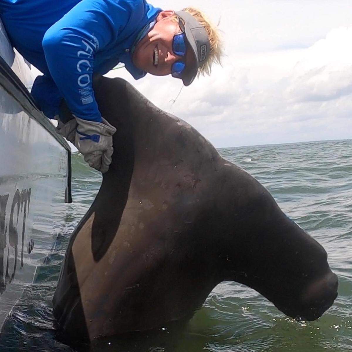 Cpt. Chip Michalove poses with a 13.5-foot, over 1,000 pound, hammerhead head shark, he tagged and released on Wednesday, July 13, 2022, near Hilton Head Island.