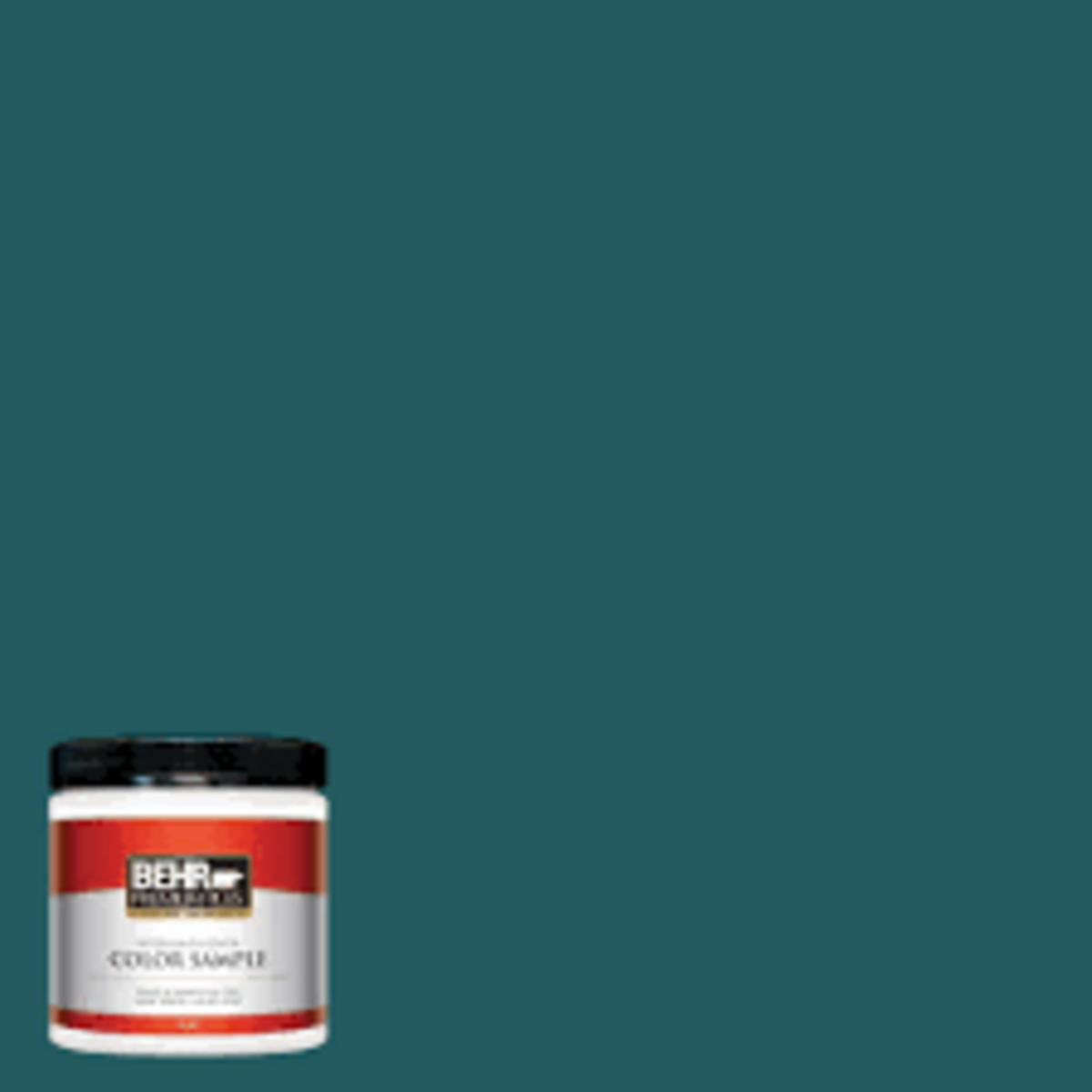 We’re obsessed with teal walls but unsure how the color will look in the bus. So we tried the color Tsunami by Behr on a layer of floor that we’ll cover with insulation and subfloor. We’re in love!