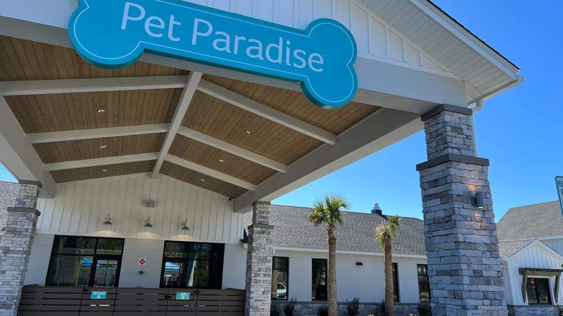 You’ve seen Pet Paradise being built near Bluffton. Here’s what it looks like inside