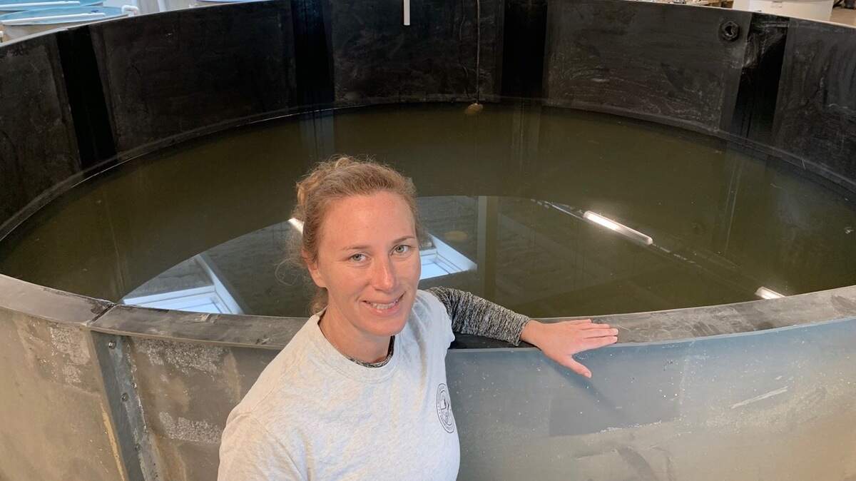 Waddell Mariculture Center’s new director Erin Levesque in front of cobia tank in the remodeled “wet lab”