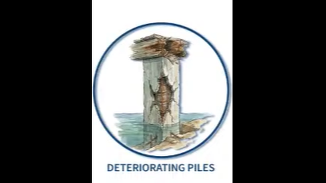 Many of the 577 concrete piles that hold up the relieving platform below the promenade in Waterfront Park are falling apart. Their failure resulted in the city closing the promenade to the public last July. The promenade remains closed.
