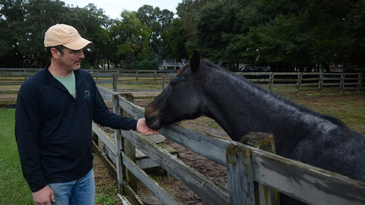 Tim Quade pets Blueberry, one of his lesson horses, Nov. 9, 2015. Quade's family business, Above Standard Equestrian, recently moved from Bluffton's Pepper Hall to Hilton Head Island.