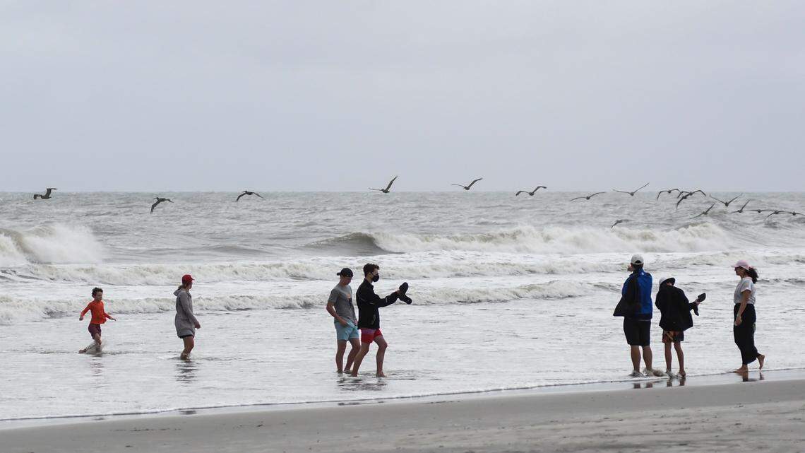 As bird flu circulates around the country, what’s the risk to Hilton Head’s wild birds?