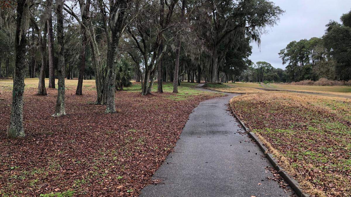 The Mid-Island Tract as seen on Feb. 19, 2021.