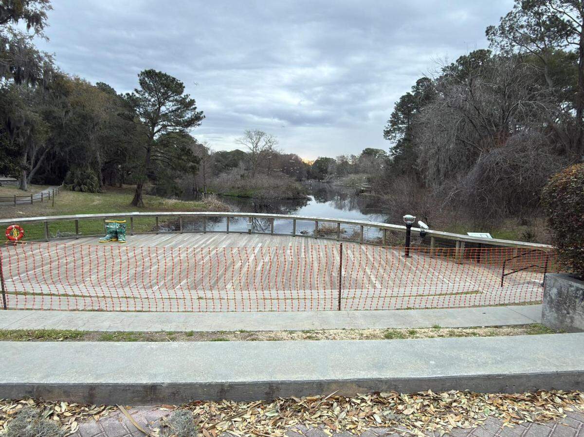 The main access to Cypress Wetlands from Paris Avenue is blocked due to construction, but there are alternative entry points to the popular rookery.