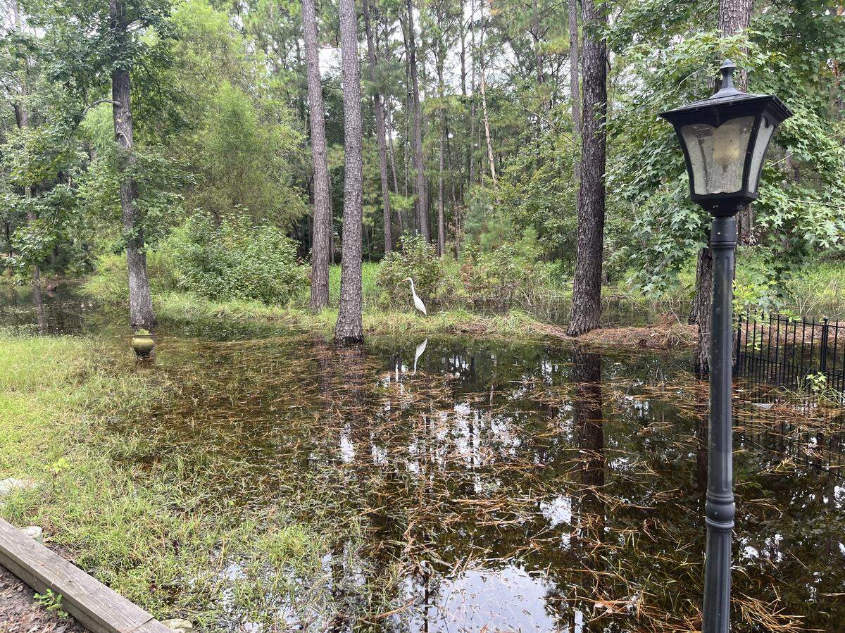 Mark and Carol Presnell say their property at 4 Needlerush Court on Lady’s Island has been turned into a standing body of water that’s attracting shorebirds.