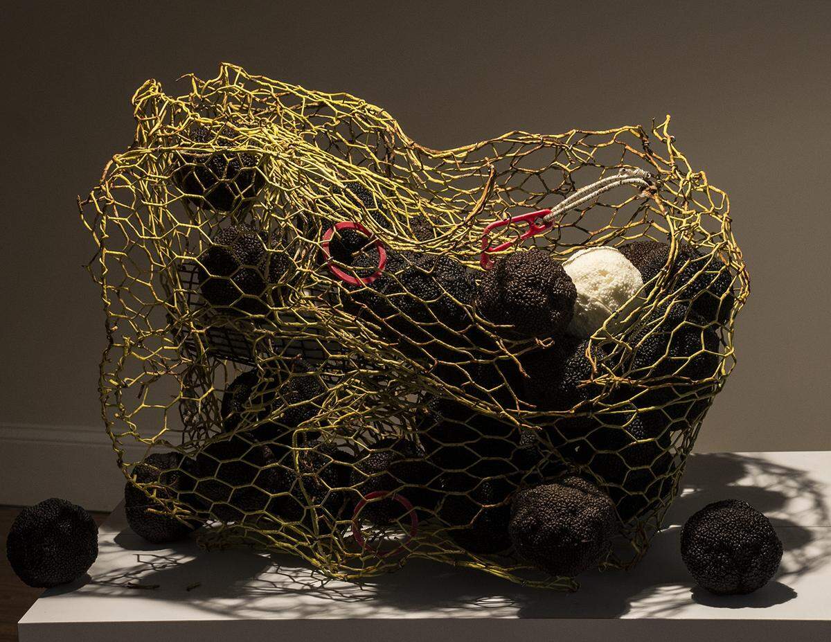 University of South Carolina Beaufort's 2015 Annual Fine Art Faculty Exhibition opens Oct. 30. The exhibition will feature a variety of media produced by faculty members, such as Brian Glaze whose work is shown here.