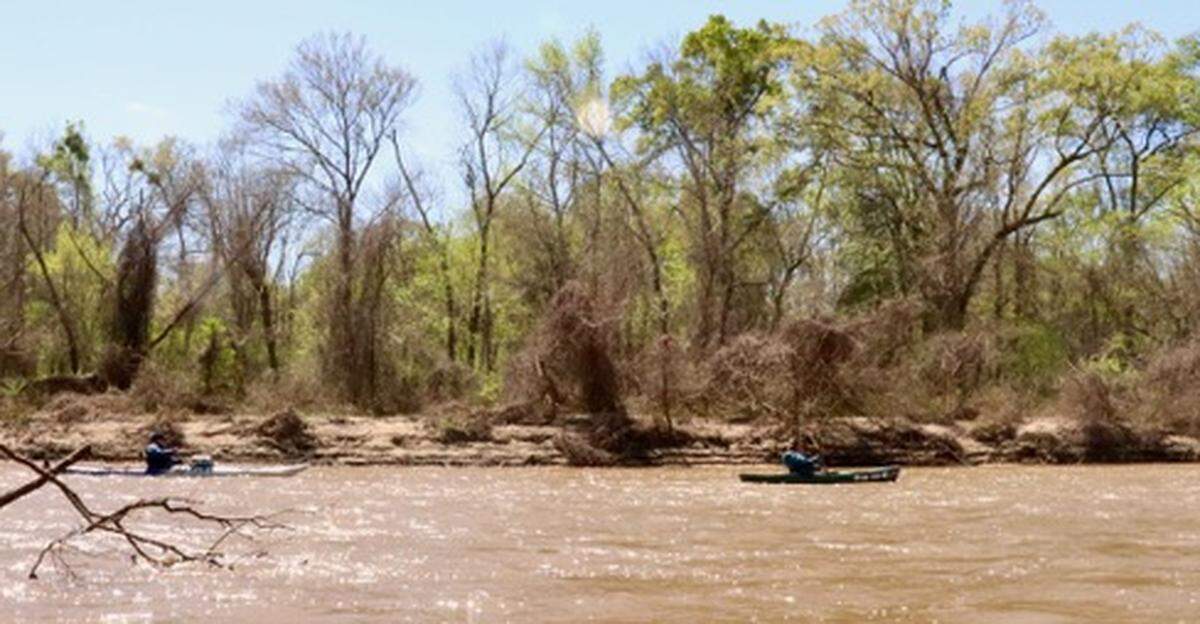 Kayakers paddle a remote stretch of the Altamaha River near Uvalda, Georgia.