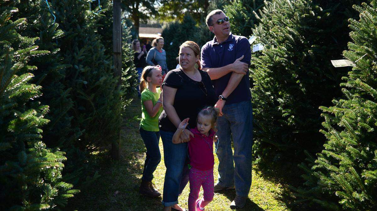 Christine and Phil Williams, of Beaufort, shop for a Christmas tree with their daughters Sofia, 8, and Gabriella, 4, on Friday afternoon at A & A Christmas Trees in Okatie.