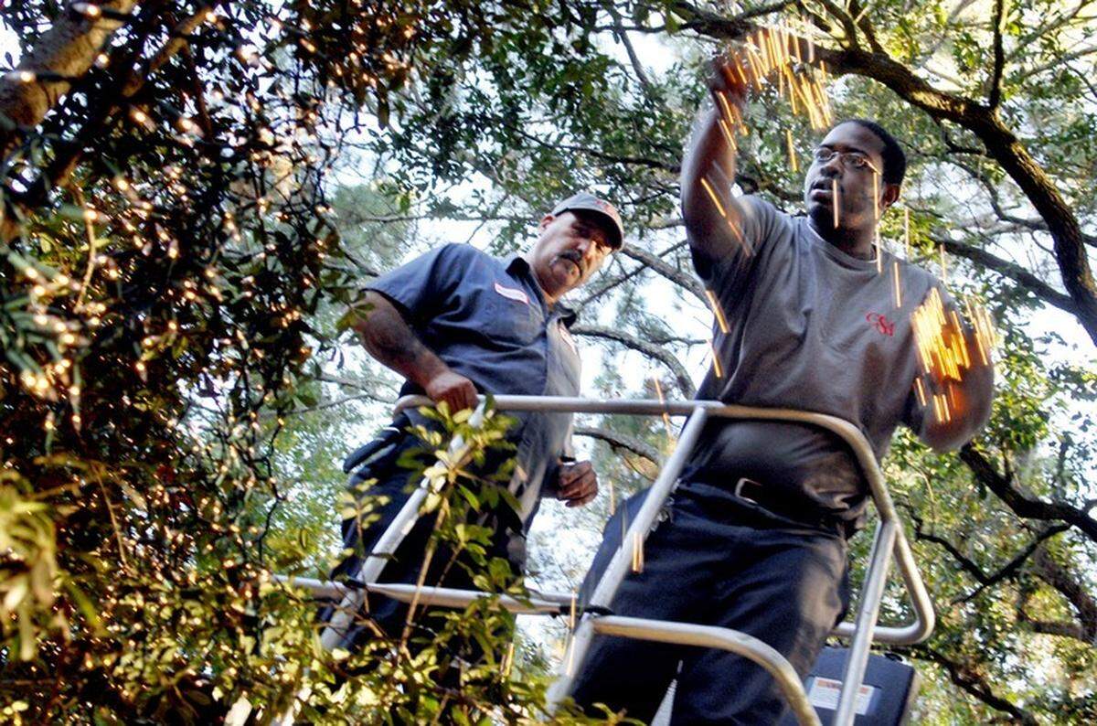 Community Services Associates worker Star Jones tosses a lighted strand over a holly tree at the intersection of Lighthouse Road and Plantation Drive, while co-worker Gary “Scooter” Simmons looks on. File photo from 2010.
