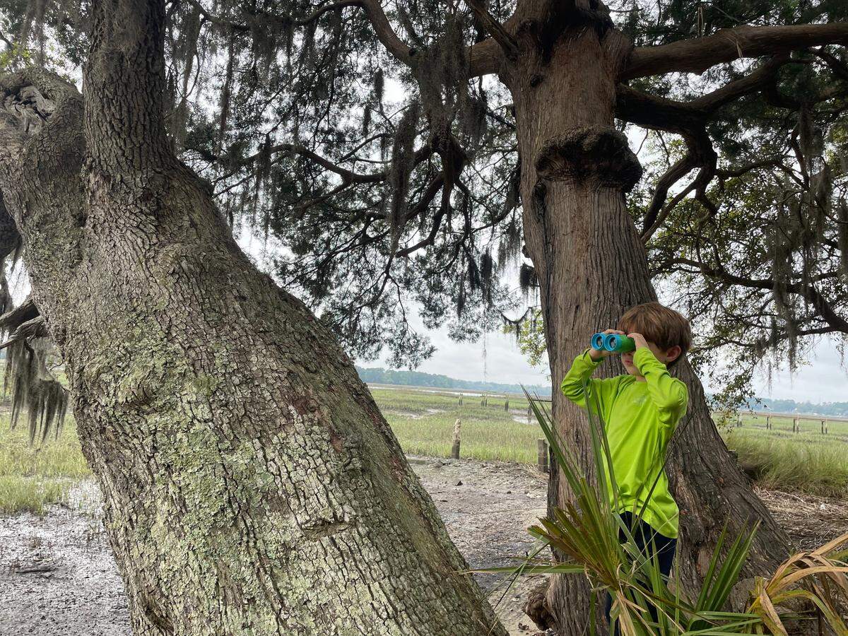 An Angel Oak Nature Academy student looks through binoculars for a bald eagle.