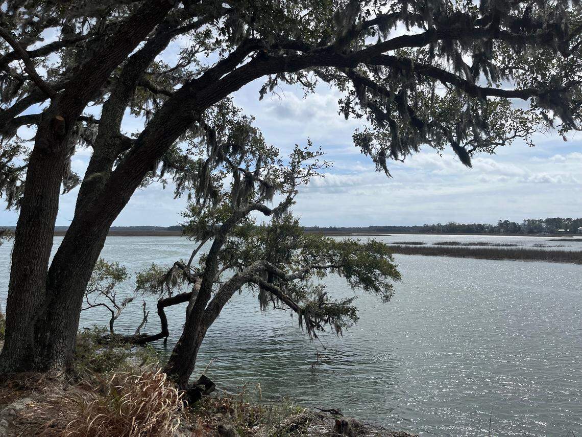 Trees rim Upper Cane Island. The property was owned for many decades by the Trask family where it was used for truck farming and later for growing flowers. A housing development is being planned for the property, which is no longer owned by the Trasks.