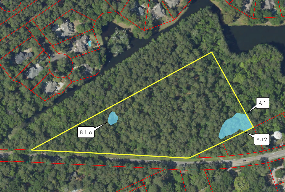 A satellite photo shows the location of the proposed 58-unit townhome community, outlined in yellow. The rookery can be seen just northwest of the site.