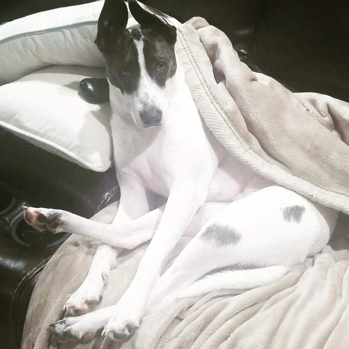 Marley is still missing.