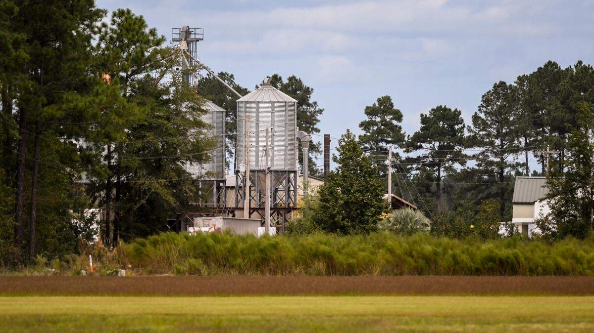 Silos of Jasper Pellets can be seen along Nimmer Turf Road as seen on Sept. 24, 2020 in Ridgeland, S.C. Environmental groups claim Jasper Pellets has been converting wood chips into pellets without having federal and state permits.