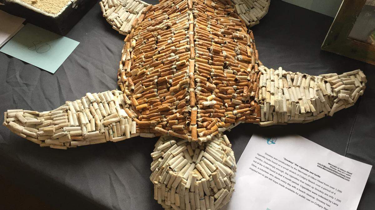 This turtle art was made from over 1,200 cigarette butts (out of  
over 9,600 collected) found on the beach in front of Coligny  
Plaza on Hilton Head Island.