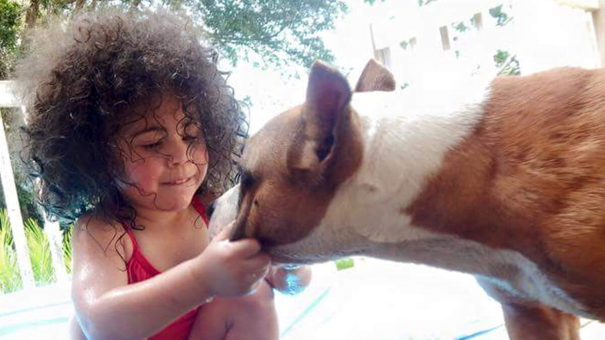 Gabriela Gonzalez submitted this June 2015 photo of her daughter, Jaylen,  squishing the muzzle of their family pet, Kyra, an American bully. Gonzalez, who shows her dog, filed an appeal Nov. 30 to challenge Beaufort County's new rules that would require her dog to be spayed to lower the number of unwanted pit bulls.