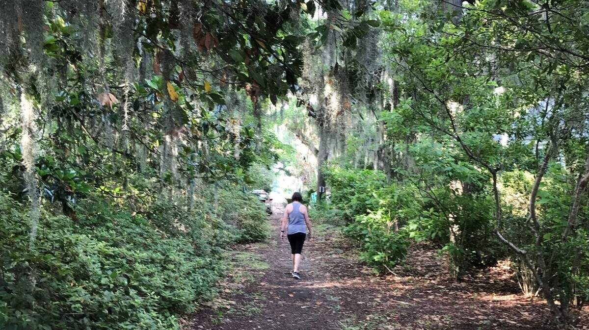 This tree-lined path leads to the Prichard Pocket Park on the banks of the May River in Bluffton.