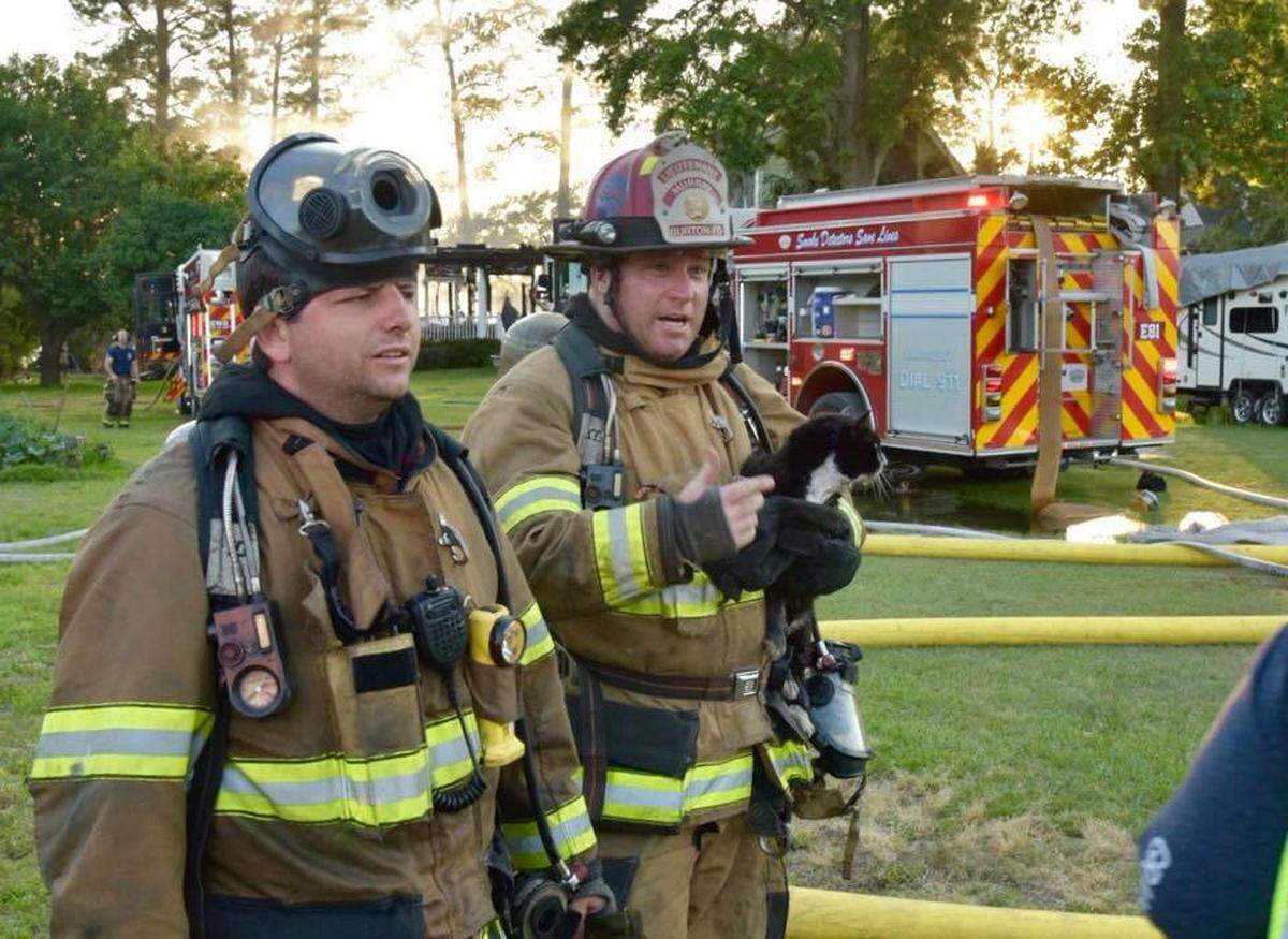 A cat was rescued from a burning home in Seabrook on May 9, 2018.