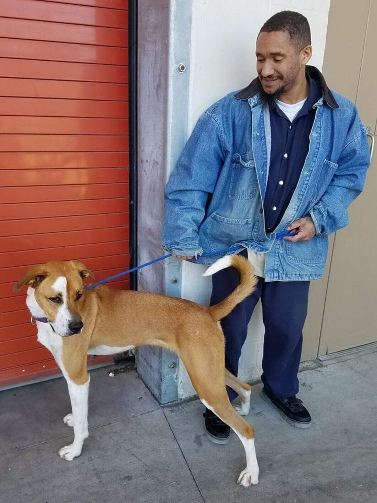 One of the dogs from Bluffton’s Rogue Rescue works with a trainer in Operation New Hope at the Chatham County Detention Center.