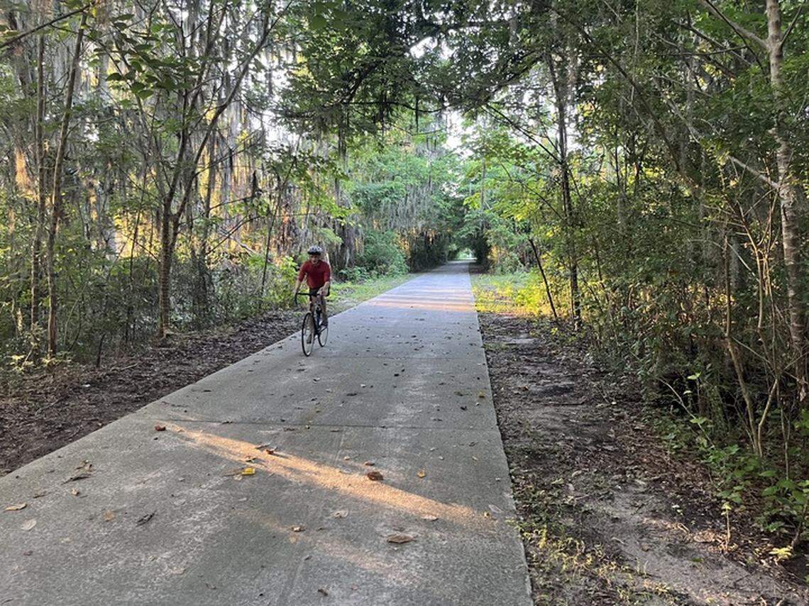 The Spanish Moss Trails runs through diverse terrain, from forest that provides shade to open areas crossing the salt marsh to city residential neighborhoods to busy commercial and retail areas.