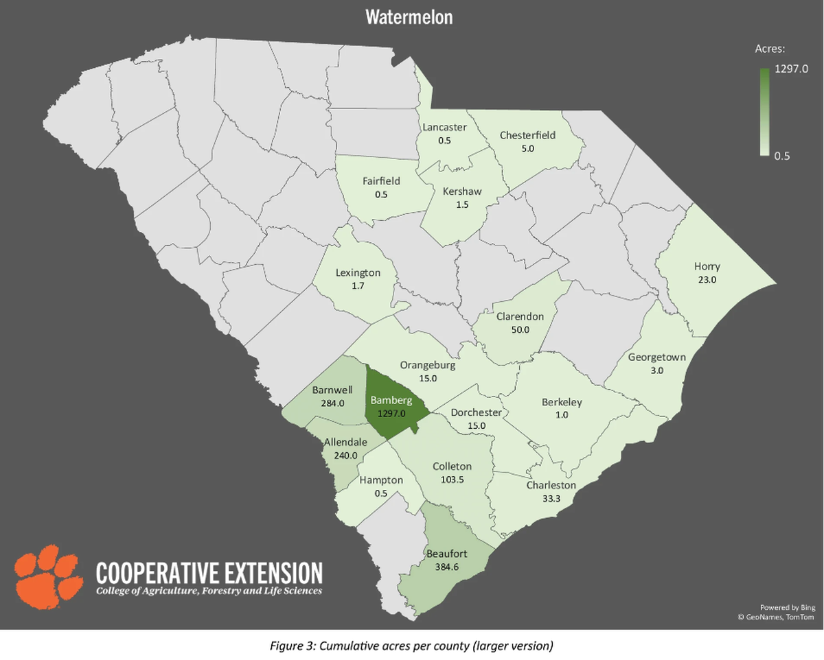 Beaufort County plants the second highest number of acres in watermelons.