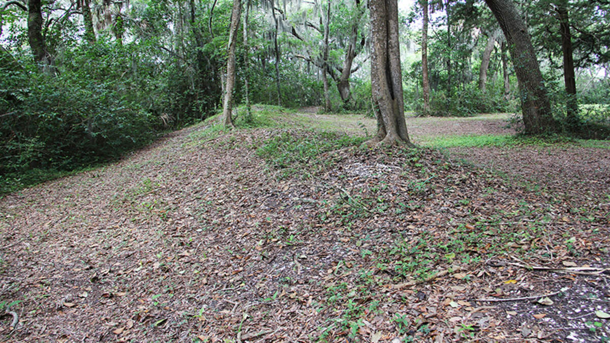 The edge of a shell ring in Green’s Shell Enclosure Heritage Preserve on Hilton Head Island.