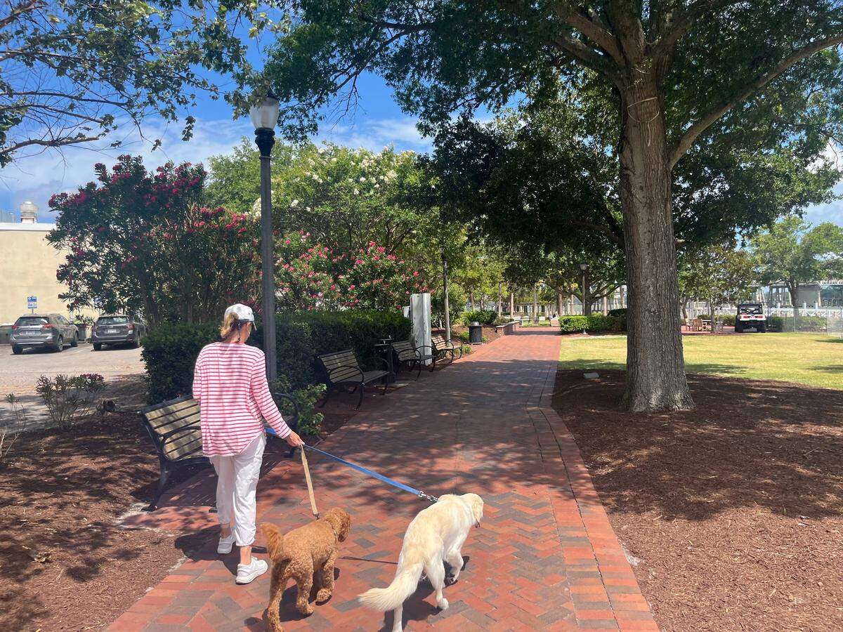 Bonnie Carpenter of Florida walks her dogs in Waterfront Park in Beaufort Tuesday afternoon. Although the promenade along the Beaufort River was closed Monday, the park and the businesses that abut it remain open for business. “It’s gorgeous,” Carpenter said of Beaufort.