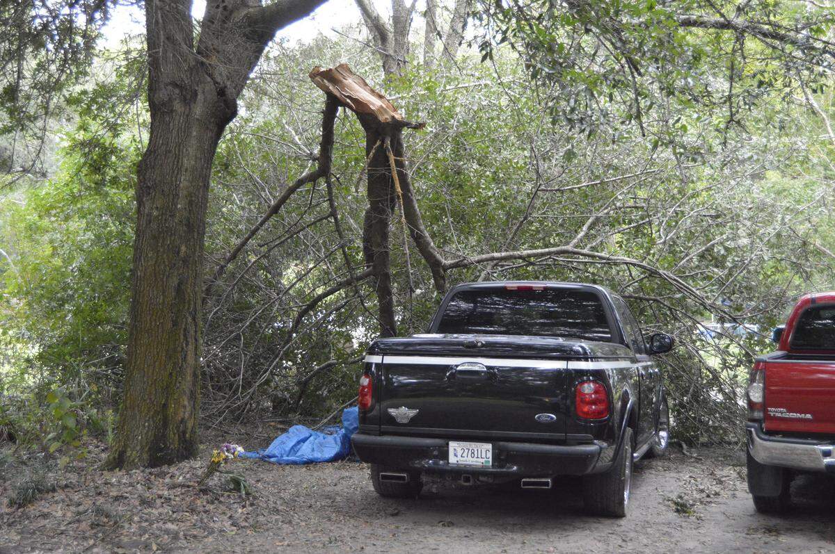 A tree branch lies on a truck near Milledge Village Road in Beaufort after Tropical Storm Michael passed through the county on Thursday, Oct. 11.