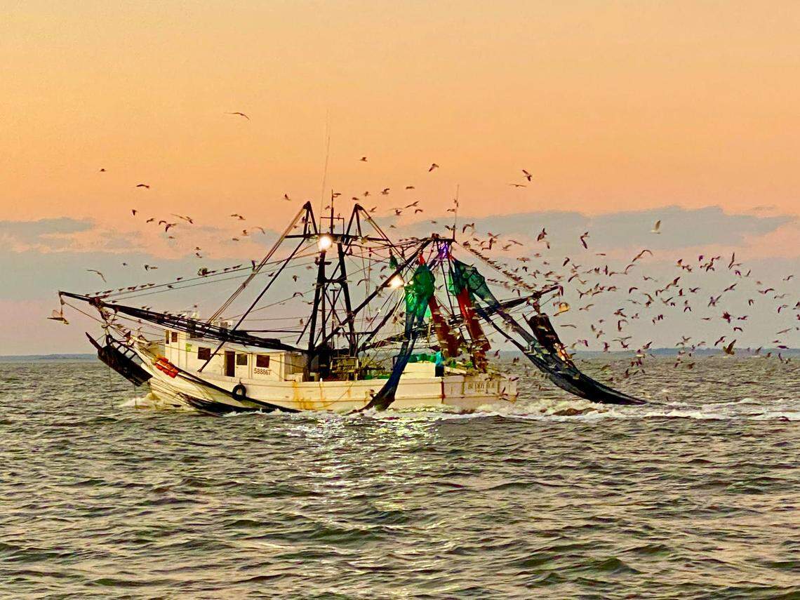 Stratton Pollitzer shared this photo of a shrimp boat in the Morgan River.&nbsp;