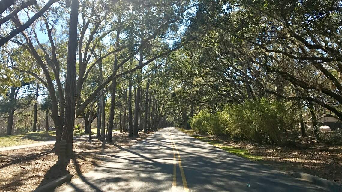 65-year-old tourist died after she was struck by a dump truck in Sea Pines while biking, police say