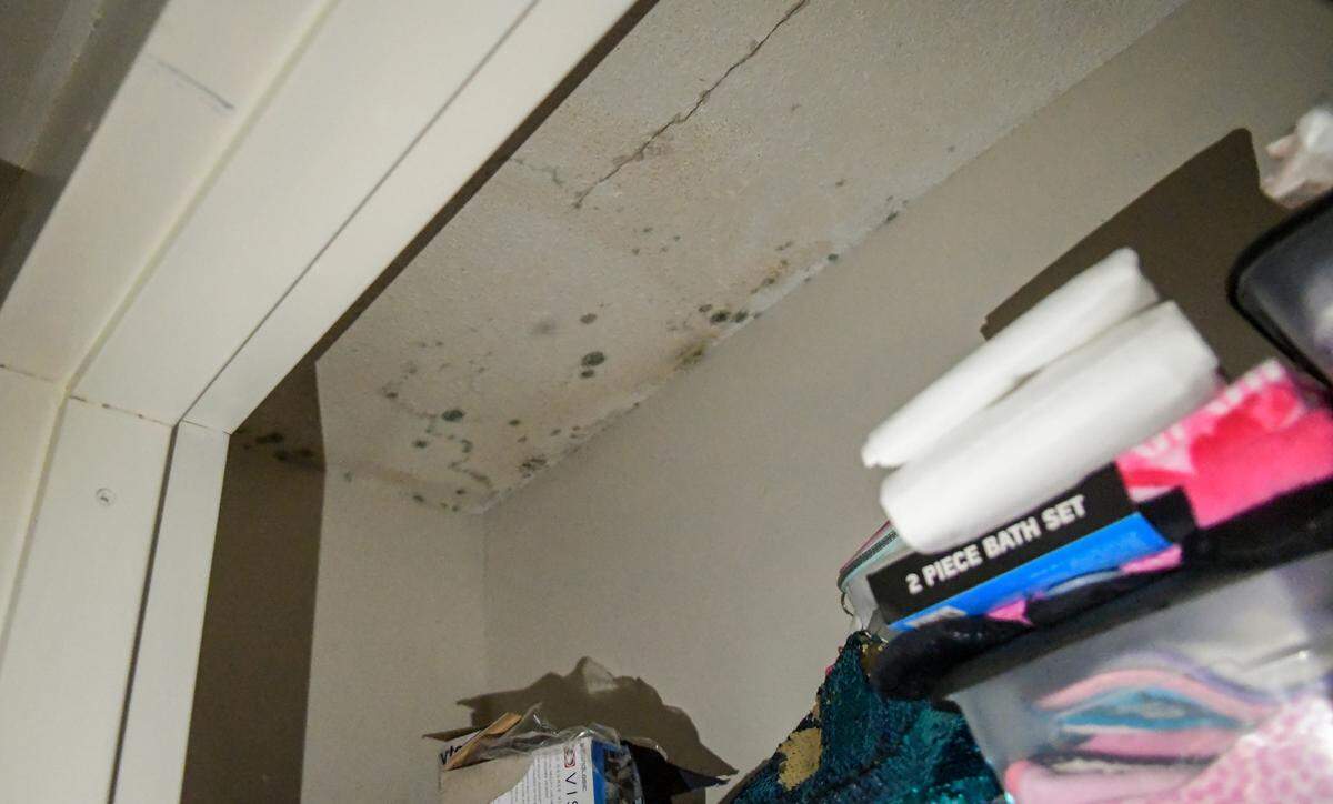 Mold spores are seen in a closet of Briana Cohen’s three-bedroom apartment at Sandalwood Terrace apartments on Thursday, Oct. 22, 2020 on Hilton Head Island. Cohen and her two-year old daughter have been living with her mother in Beaufort after firefighters extinguished a fire caused by faulty wiring. Cohen says while structural work has been slow, little is being done to eliminate moisture from the water used to fight the fire.